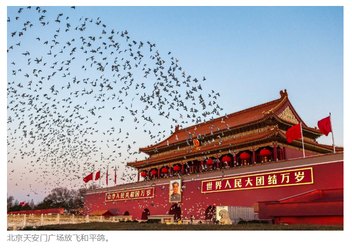 腾博诚信官网·(中国)会专业效劳