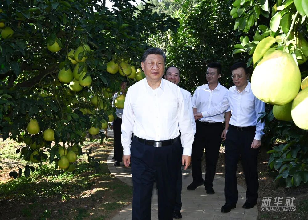 腾博诚信官网·(中国)会专业效劳